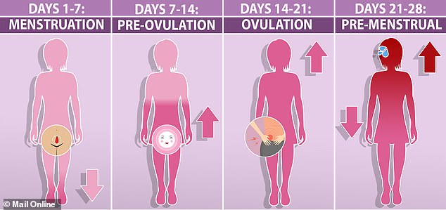 For most women, the menstrual cycle lasts 28 days and consists of four main stages, although this can vary greatly from woman to woman.