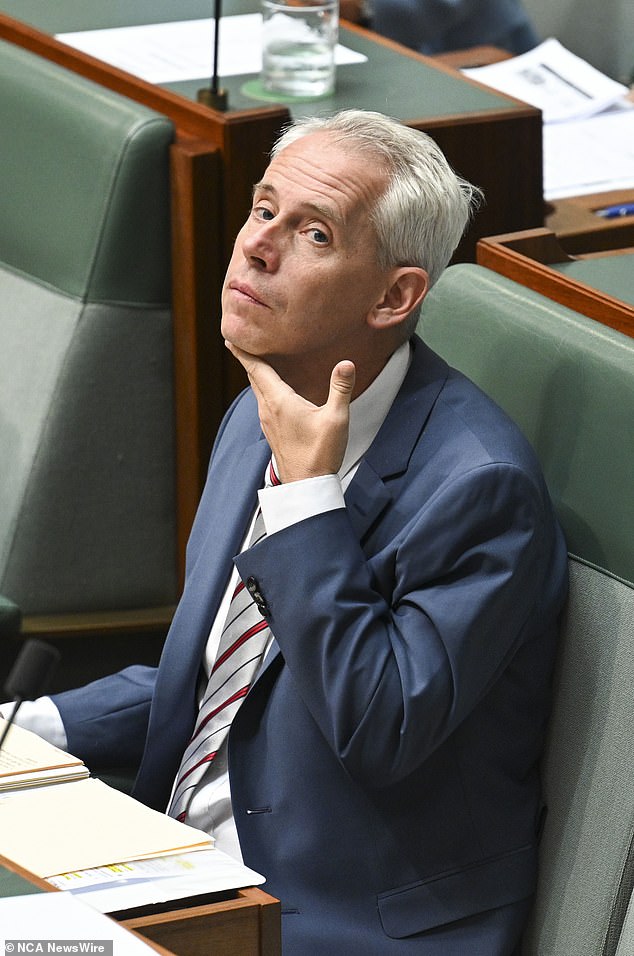 Immigration Minister Andrew Giles (pictured) previously met the family and has the power to resolve the saga.