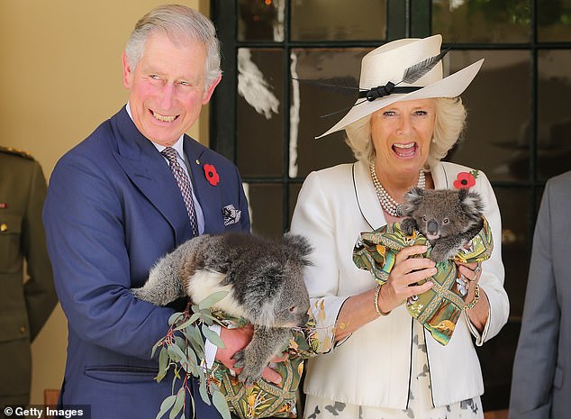 Prince Charles holds a koala named Kao while Camilla holds a bear named Matilda at Government House in Adelaide in 2012.