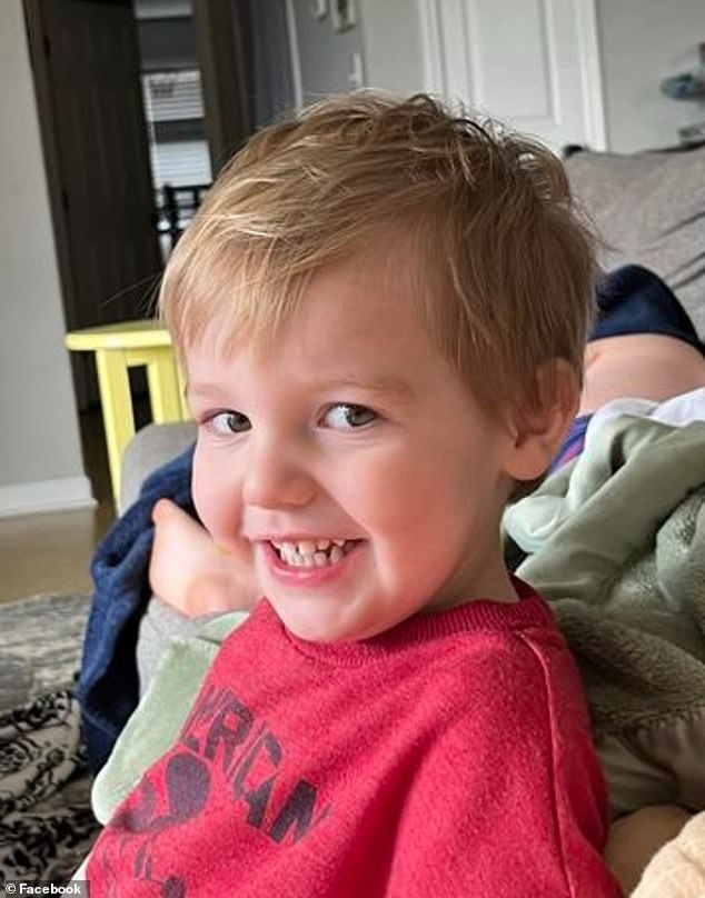 Mark Alan Pertain, 2, was fatally mauled by his neighbor's dogs on Friday in a horror attack in New Hope, Alabama.