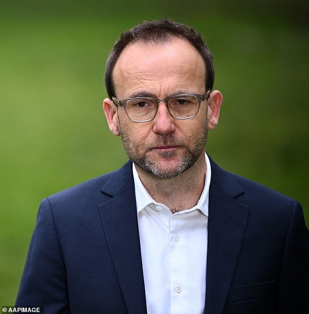 Despite his strong opposition to CO2 emissions, Greens leader Adam Bandt has used private jets, parliamentary expenses reveal