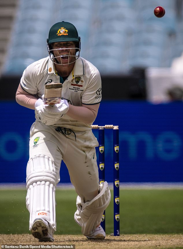 A local Sydney council plans to pay tribute to the Test career of retired Australian opening batsman David Warner, and the move has left cricket fans divided.