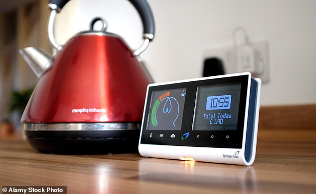Families could pay more to use the kettle, washing machine and dishwasher during the evening peak, to convince them to switch to other times of the day