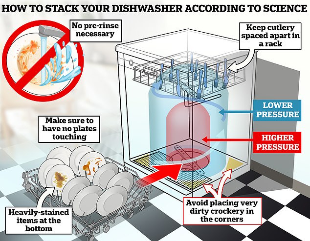 From silverware placement to the best place for a cleaner wash, experts reveal the best way to stack the dishwasher