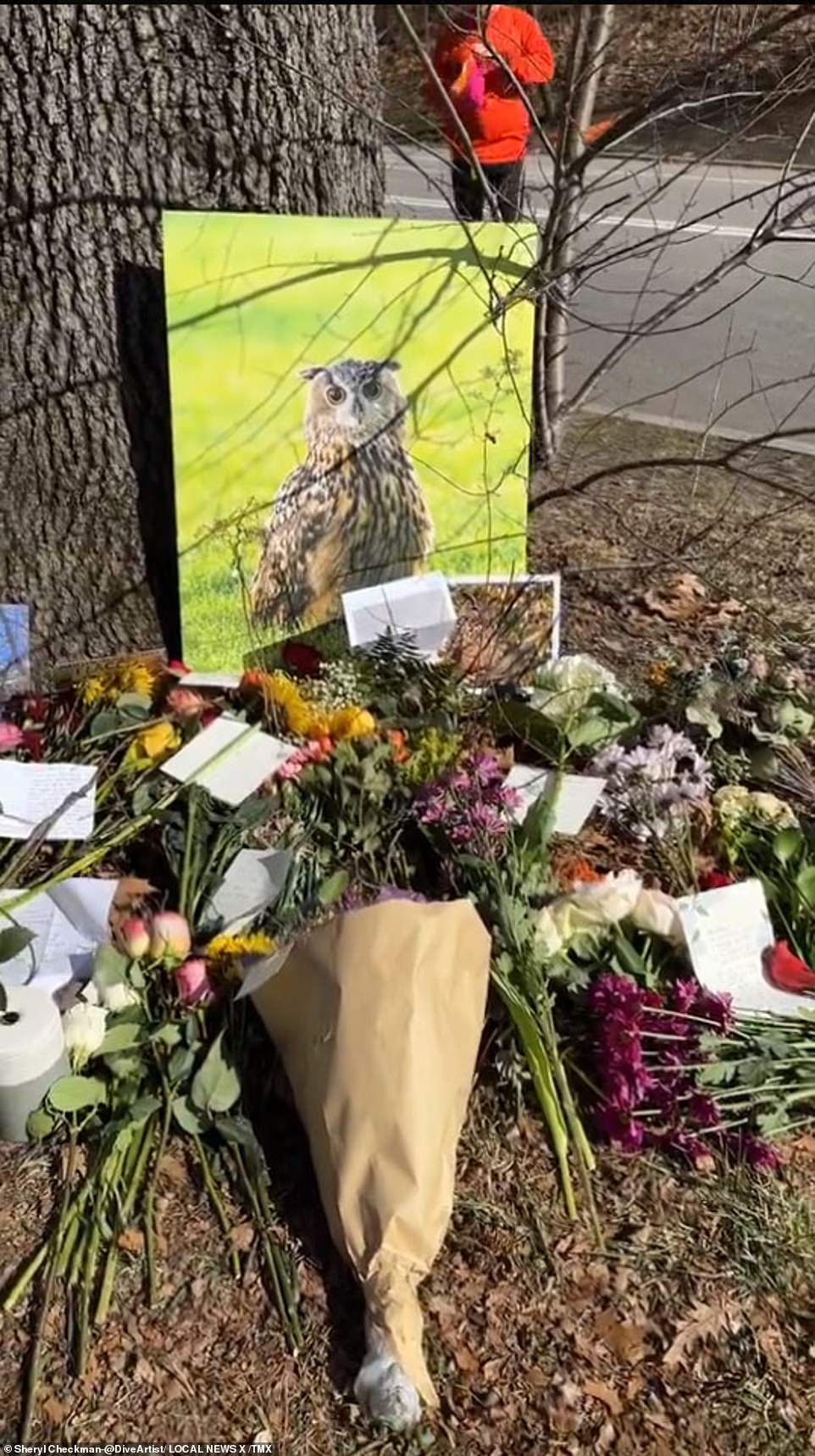 Hundreds of people gathered in Central Park on Sunday to celebrate Skinny Owl, New York City's favorite feathered friend, who tragically died after crashing into a building on the Upper West Side earlier this month.