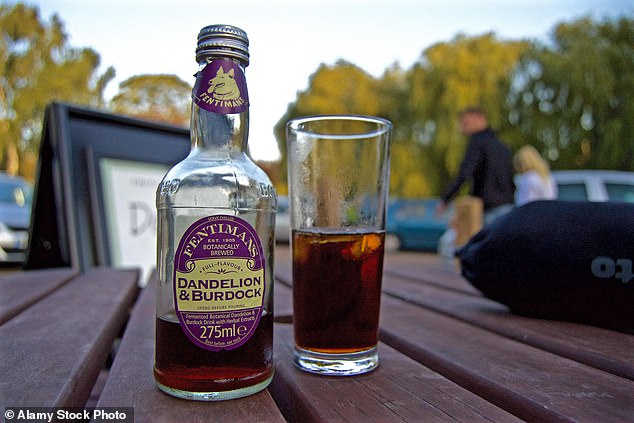Dandelion and burdock have been commonly consumed in the British Isles since the Middle Ages and have a carbonated herbaceous flavor with hints of anise.