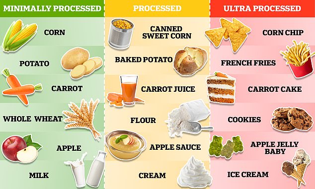 Nutritionists divide foods into three groups based on the amount of processing they have undergone. Minimally processed foods, like apples, are usually exactly as they appear in nature. Processed foods, like applesauce, have undergone at least one level of processing that has changed their original form. In contrast, ultra-processed foods like apple jelly babies have gone through multiple levels of processing and are usually full of added fats, colors and preservatives