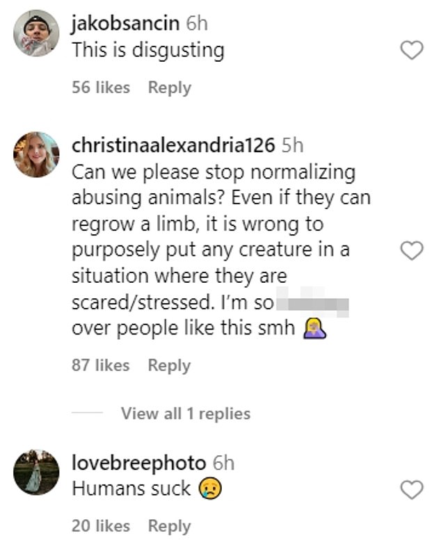 Influencer is accused of animal cruelty after doing a photo