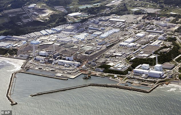The Fukushima disaster is one of the most devastating nuclear accidents in the world.