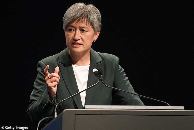 Foreign Minister Penny Wong has been the target of criticism from Paul Keating.
