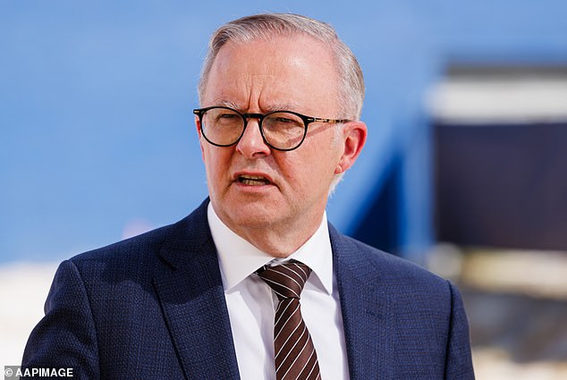 The game was touted to have government support (pictured, Anthony Albanese)