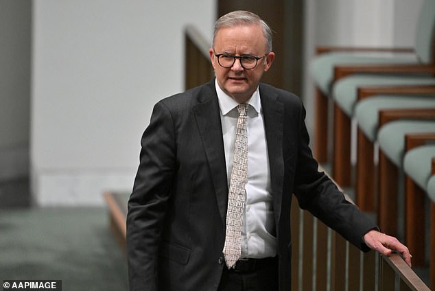 Anthony Albanese (pictured) has been called upon to negotiate a political path for the WikiLeaks founder to avoid extradition to the United States following a court ruling in London.