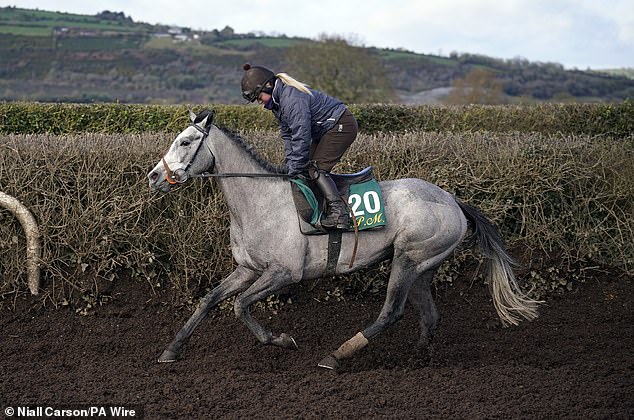 Paul Townend claimed another victory at Cheltenham as he guided Lossiemouth (pictured) to win the Mares' Hurdle.