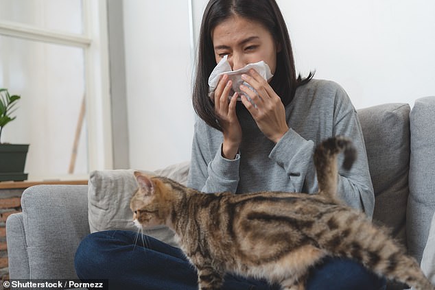 It is estimated that about 15 percent of Americans suffer from pet allergies, a total of nearly 50 million.