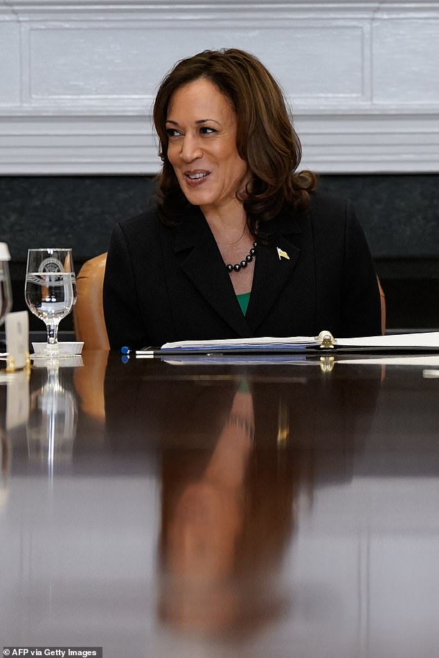 U.S. Vice President Kamala Harris speaks during a roundtable discussion on marijuana reform at the White House