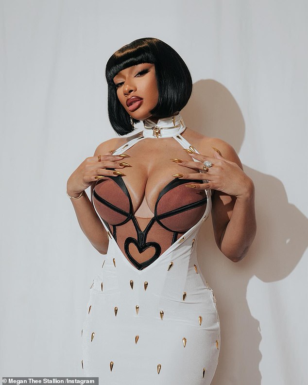 Megan Thee Stallion took to Instagram to show off the busty white dress she wore to the 8th Annual Crunchyroll Anime Awards in Tokyo, Japan this week.