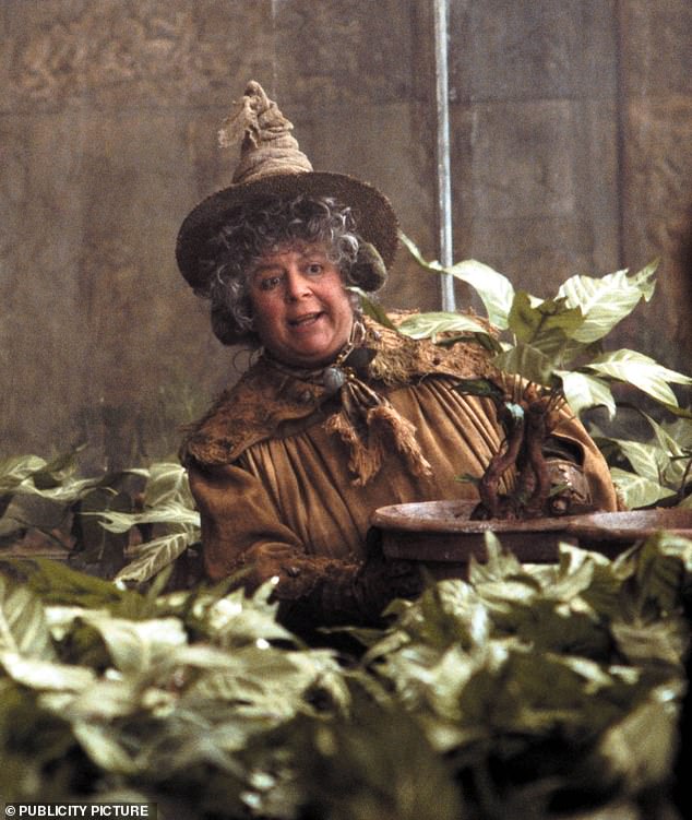 The 82-year-old actress and national treasure played Professor Sprout in the acclaimed film series, based on JK Rowling's books