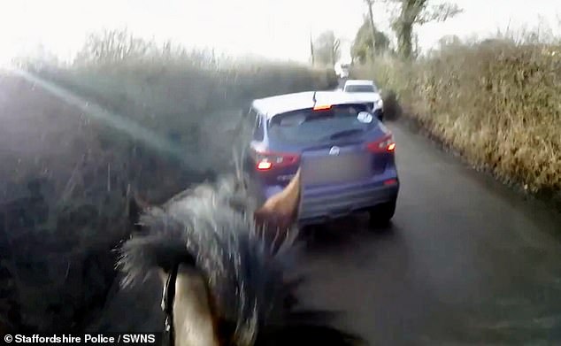 This is the breathtaking moment a car nearly hits a horse as it attempts a risky overtake on a country road.