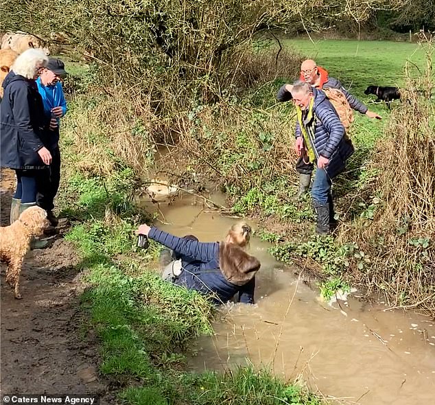 Amanda Smith fell backwards into the murky waters of a fast-flowing stream after trying to climb up in an attempt to avoid some cows blocking the path.