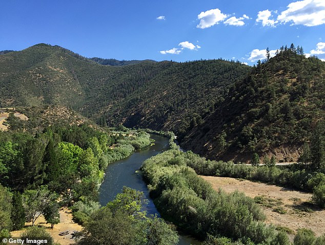 The Klamath River (pictured) is located above the Iron Gate Dam tunnel, near the California-Oregon border. A dam along the 257-mile river was removed in November in an effort to boost the salmon population.