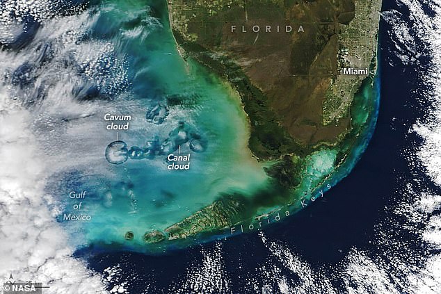 NASA captures eerie holes in clouds over Florida that have