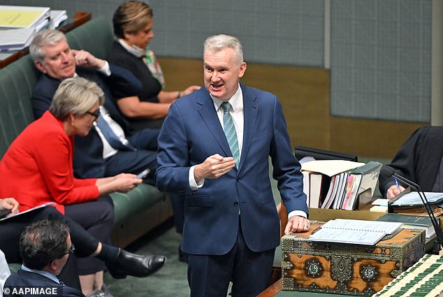 Employment and Workplace Relations Minister Tony Burke (pictured in Parliament) racked up a bill of $57,000 in four days during a four-day trip to the United States in 2022.