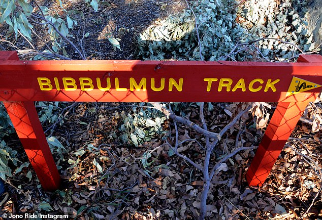 Dr. Casal told her family she had to walk the Bibbulmun track (pictured)