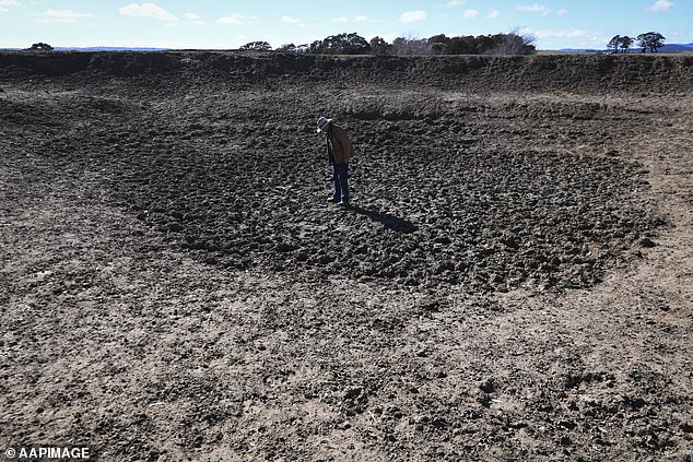 Australia's first climate change assessment has issued a dire warning for the nation's future if the country does not take action to address looming threats as the planet warms (pictured a farmer inspects a dry dam)