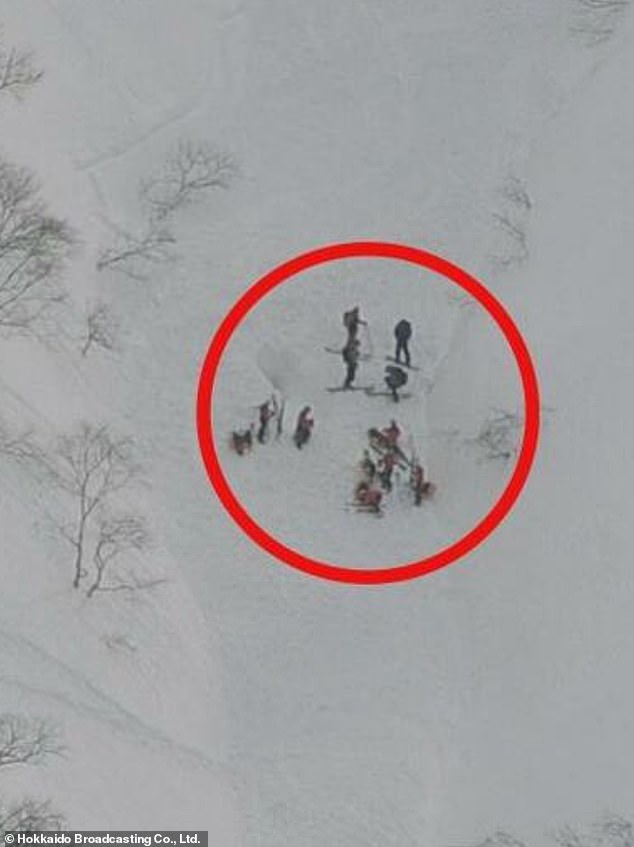 A young woman was among two tourists who died in an avalanche on Mount Yotei (pictured) in Japan on Monday