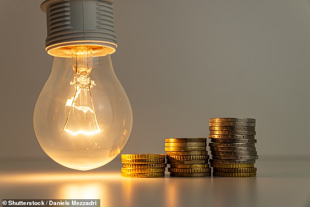 Clear idea?  Ofgem's price cap has come under fire from critics who say it fuels high energy bills by removing the incentive for companies to strike cheaper deals