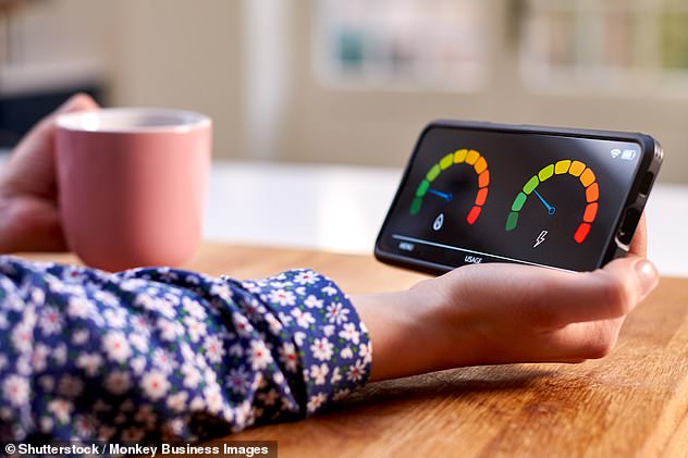 Start-up problems: £13.5bn rollout of smart meters – paid for through higher gas and electricity bills – allows home consumption to be read remotely by energy companies