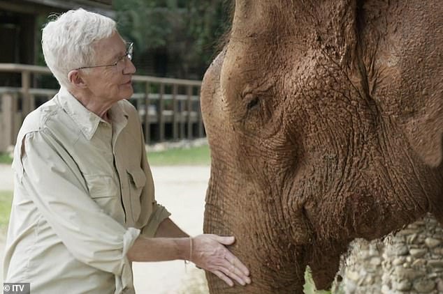 Paul OGradys Great Elephant Adventure viewers left emotional as they