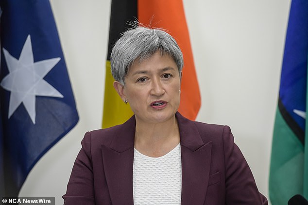 Penny Wong (pictured) has caused a stir with a seemingly harmless post on social media.