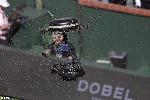 A swarm of bees covers the TV providers' 'spider cam' during Carlos Alcaraz's quarter-final