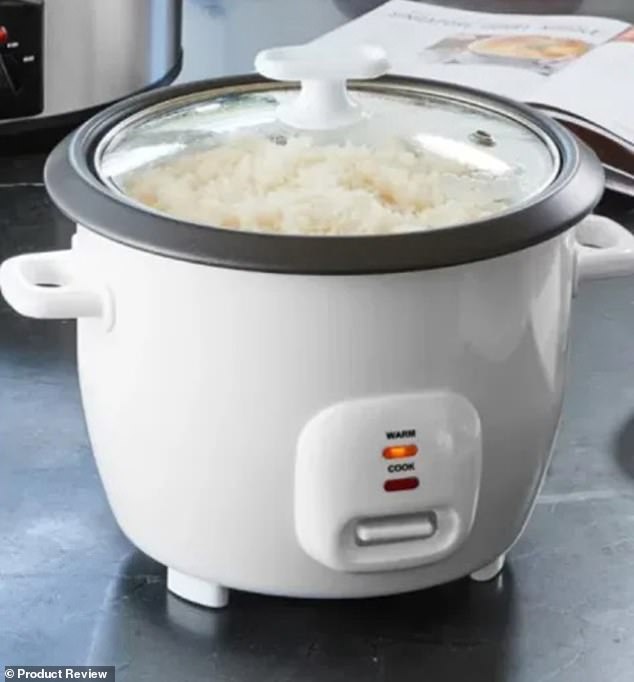 Nick Morgan bought the Anko 7-cup rice cooker for $14 from Kmart's Chermside store in Brisbane, only to find it on fire in his kitchen.