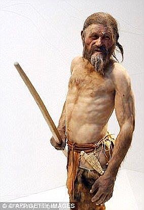 Since its discovery on December 19, 1991 by German hikers, Ötzi (the artist's impression) has offered a window into the early history of humanity.