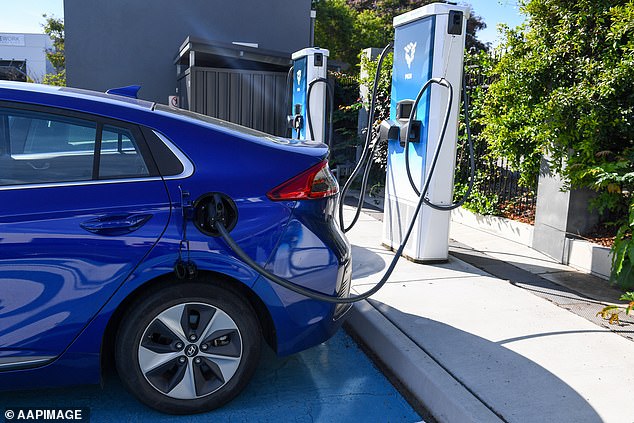 Electric cars have up to a third less battery life than advertised when driven in real-world conditions, according to research (file photo)