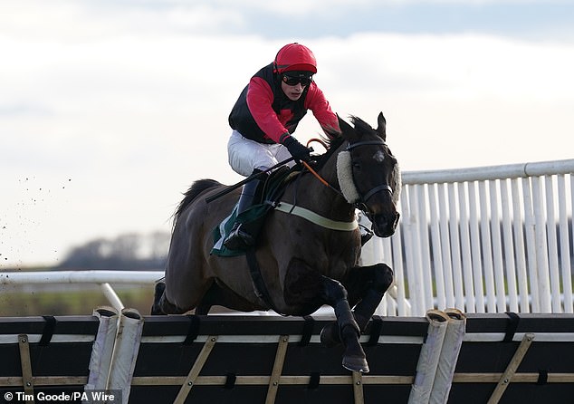 Robin Goodfellows racing tips Best bets for Wednesday March 20