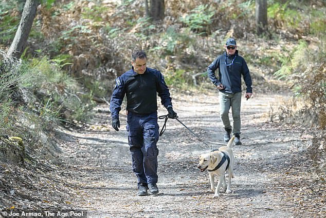 Specialist detection dogs will join the search for Samantha Murphy as police continue to scour the bush for her remains (pictured, officers search the bush on Wednesday)