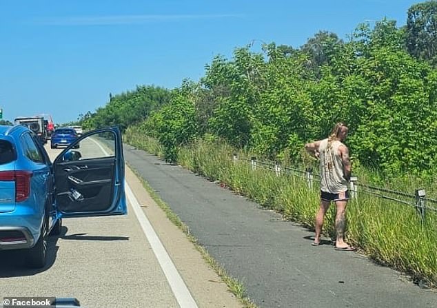 Dangerous or no big deal? Drivers were divided on social media over whether it was okay to stop a car in the middle of a lane to answer the call of nature.