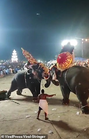 This is the shocking moment two elephants forced to fight each other turned on the crowd and injured dozens of worshipers at a religious festival in India.