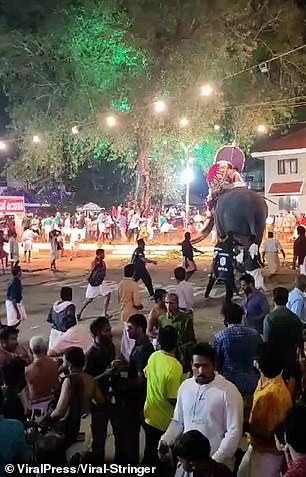 The two elephants fighting each other at the festival.
