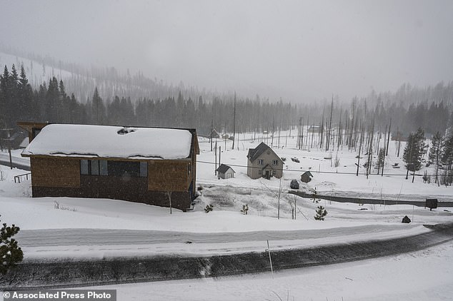 Blizzard warnings have been issued for the northern and central Sierra, including Lake Tahoe and eastern Nevada, through Sunday morning (pictured in El Dorado County, California, on Thursday).