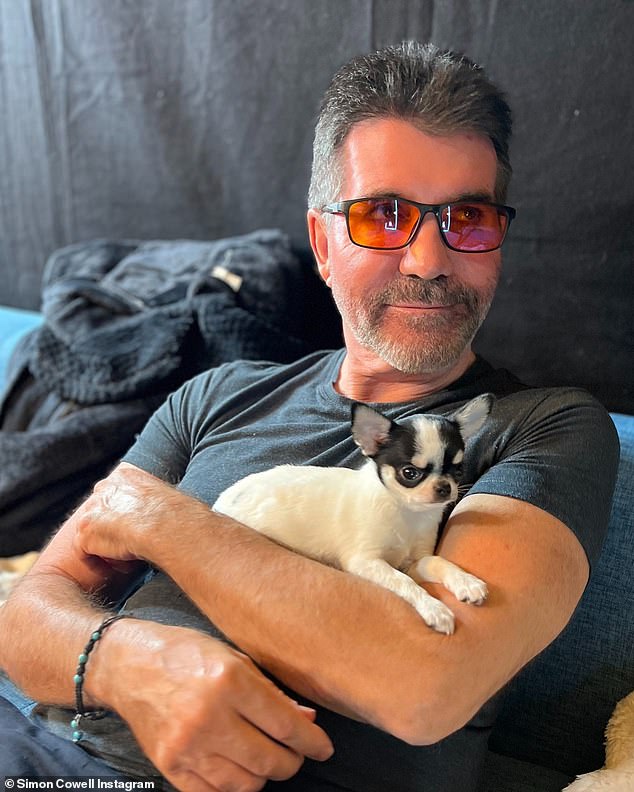 Simon Cowell has added a new member to his growing four-legged family