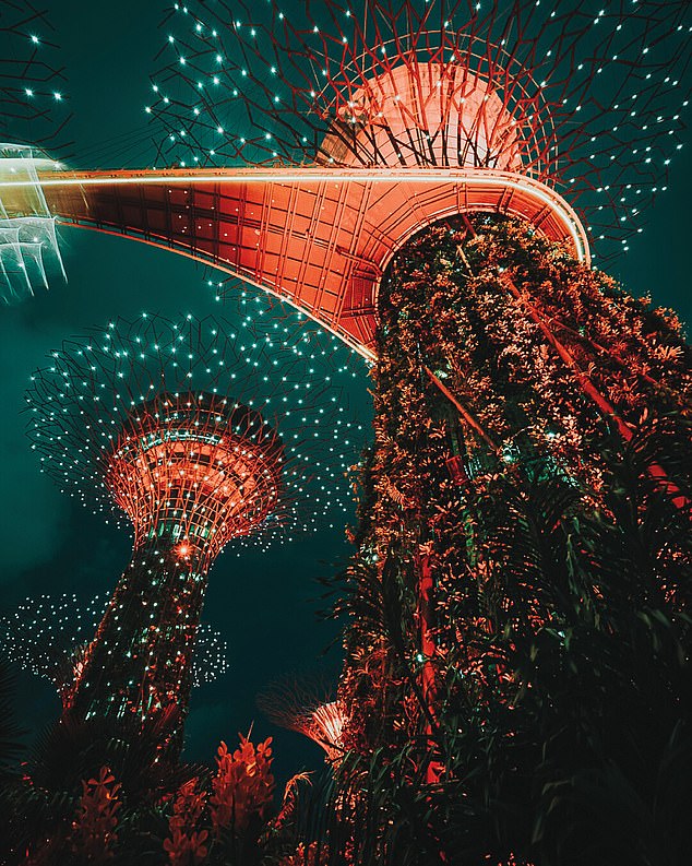 In a Singapore Tourism Board study, 60 percent of people who were shown this striking image of the Gardens by the Bay structures, home to 1.5 million plants, believed that the image was created by AI, despite being a real image taken in Singapore.