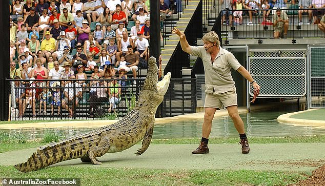 It's been nearly two decades since Steve Irwin's death and many fans online believe they've seen footage of the tragedy.  Pictured: Steve Irwin feeding a crocodile at the Australia Zoo.