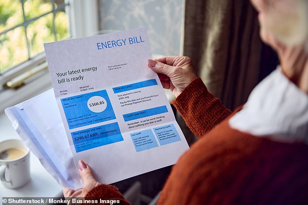 Going for the blunder: Campaigners say energy companies are actually charging households more to chase up unpaid debts of households who can't afford to pay sky-high energy bills