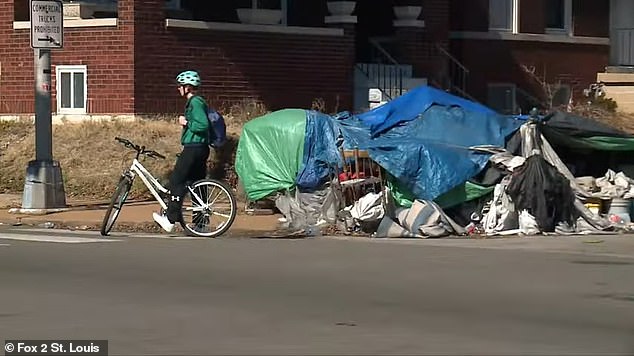 A pair of St. Louis homeowners are suing the city after a homeless couple set up camp outside their homes and the mayor told police not to intervene.