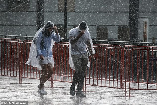 Meteorologists have warned that widespread rainfall of 10mm to 25mm is possible across Tasmania, Victoria and NSW, but thunderstorms could see isolated areas reach up to 50mm to 60mm (stock image)