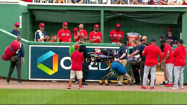 Daylen Lile's Nationals left the game on a stretcher after a terrifying fall over the outfield wall.